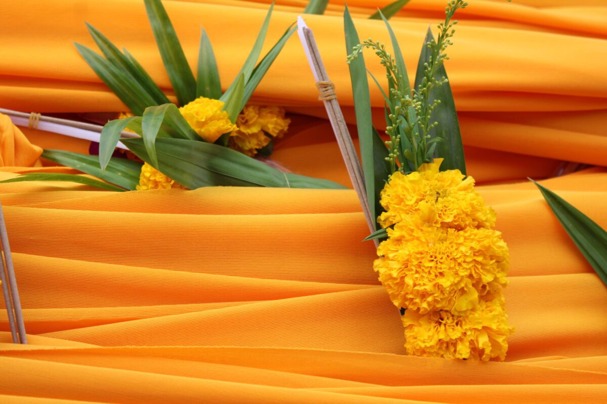 The "Hae Pha Phra Bot" Procession: A Legacy of Enduring Faith and Spiritual Roots Travel like the wind : Suchart choolee