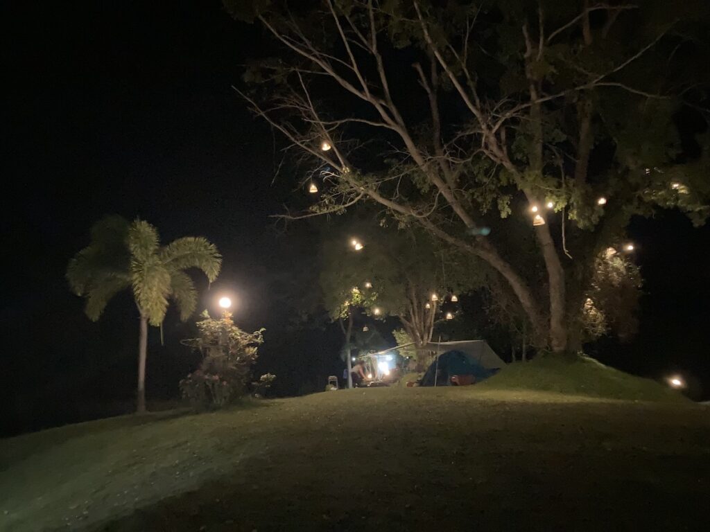 In the Embrace of Nature