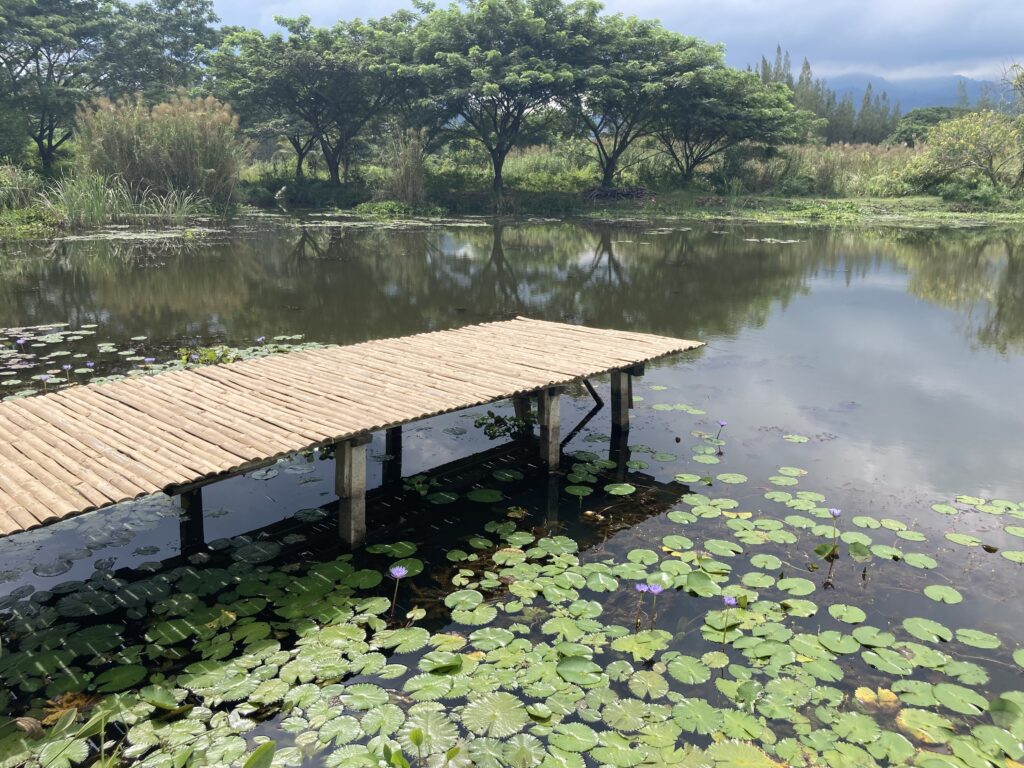 In the Embrace of Nature