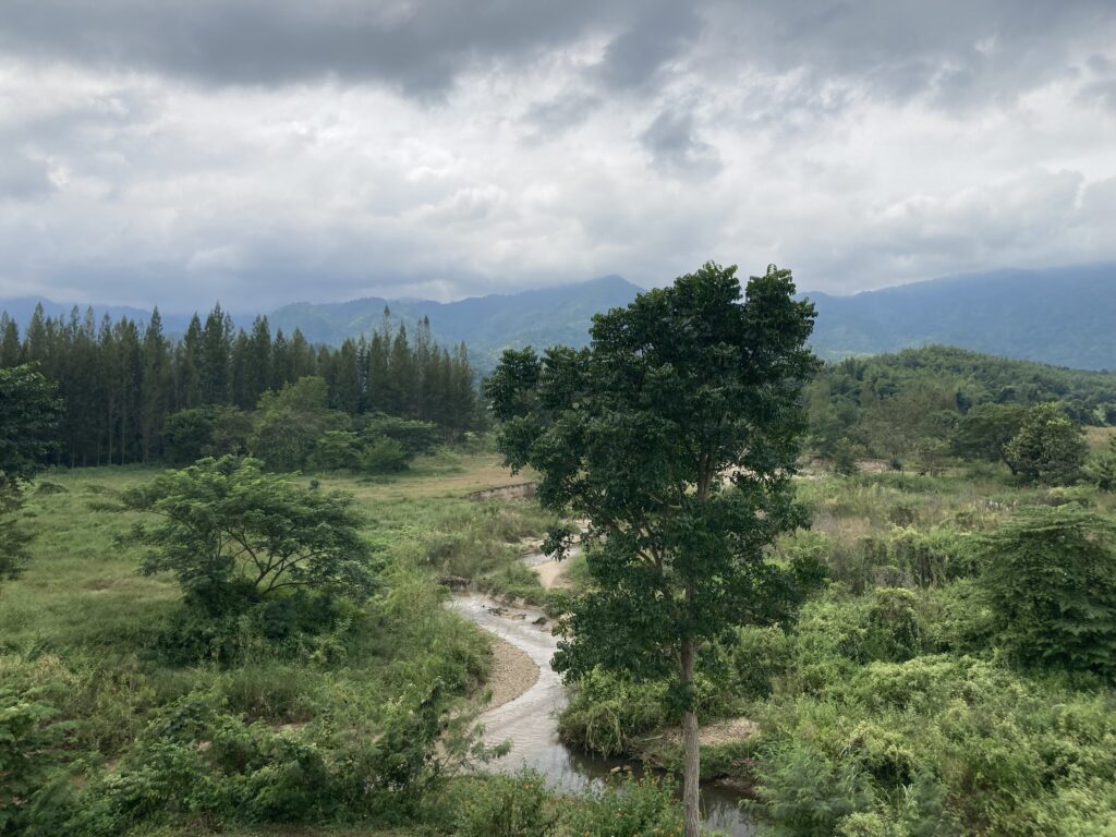 In the Embrace of Nature