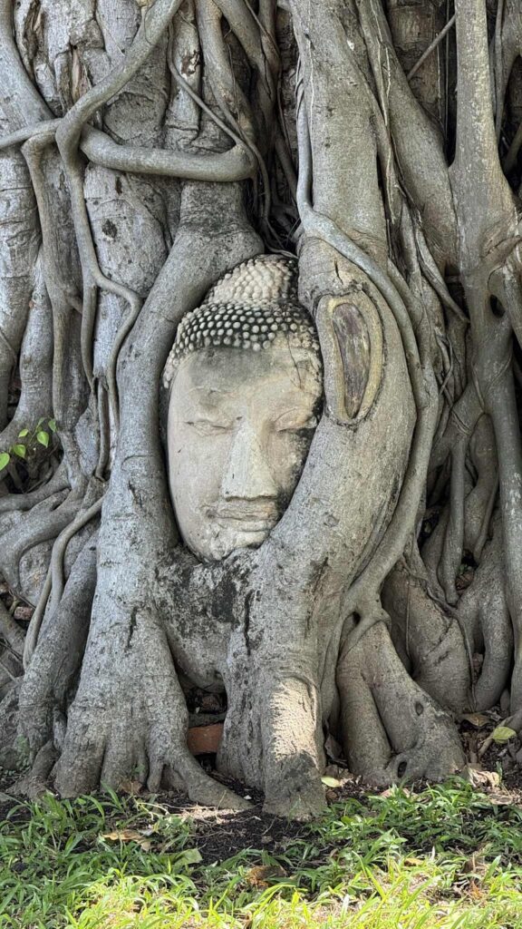 Wat Mahathat, Ayutthaya – A Legacy of Faith and Timeless Beauty
