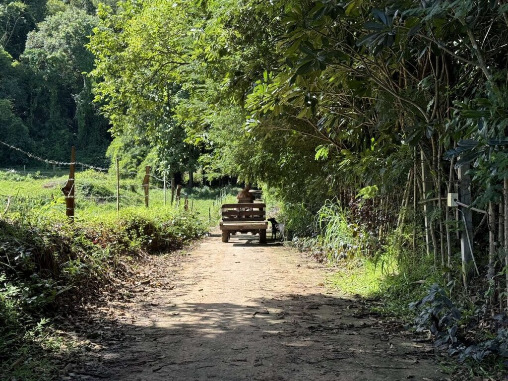 Located at Ban Khok Phak Wan, Village No. 5, Ban Khok Phak Wan, Chat Trakan Subdistrict, Chat Trakan District, Phitsanulok Province.