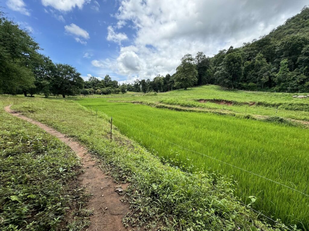 Located at Ban Khok Phak Wan, Village No. 5, Ban Khok Phak Wan, Chat Trakan Subdistrict, Chat Trakan District, Phitsanulok Province.