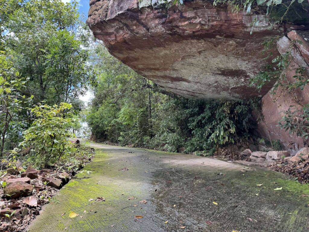 Located at Ban Khok Phak Wan, Village No. 5, Ban Khok Phak Wan, Chat Trakan Subdistrict, Chat Trakan District, Phitsanulok Province.