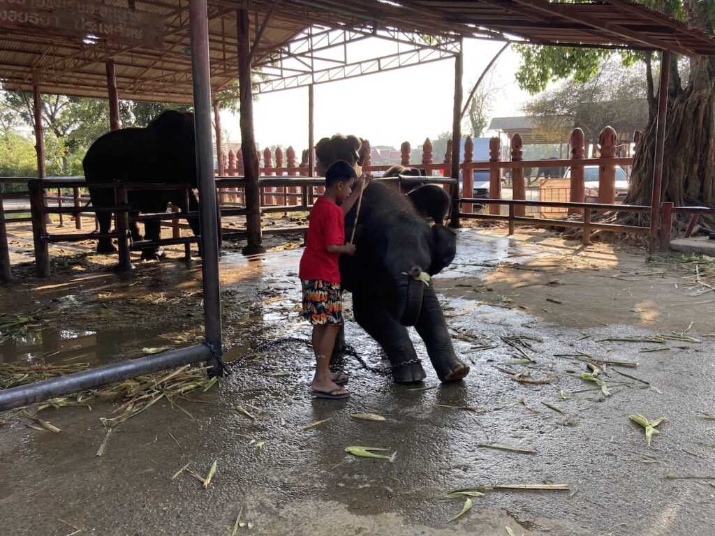 Wang Chang Lae Phaniat-Ayutthaya