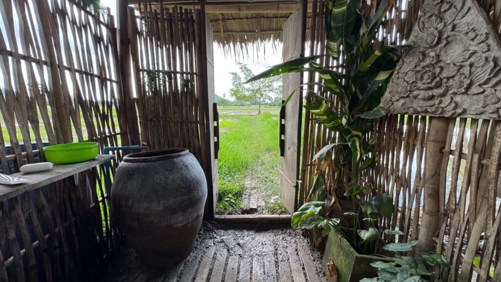 Exploring the Iconic Tung Na (Rice Fields) and Dong Tan (Sugar Palm Groves) of Phetchaburi