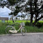 Exploring the Iconic Tung Na (Rice Fields) and Dong Tan (Sugar Palm Groves) of Phetchaburi